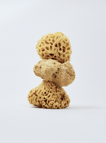 Natural Sea Sponges for the shower from Betiyon
